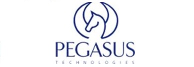 Pegasus Support Service Desk